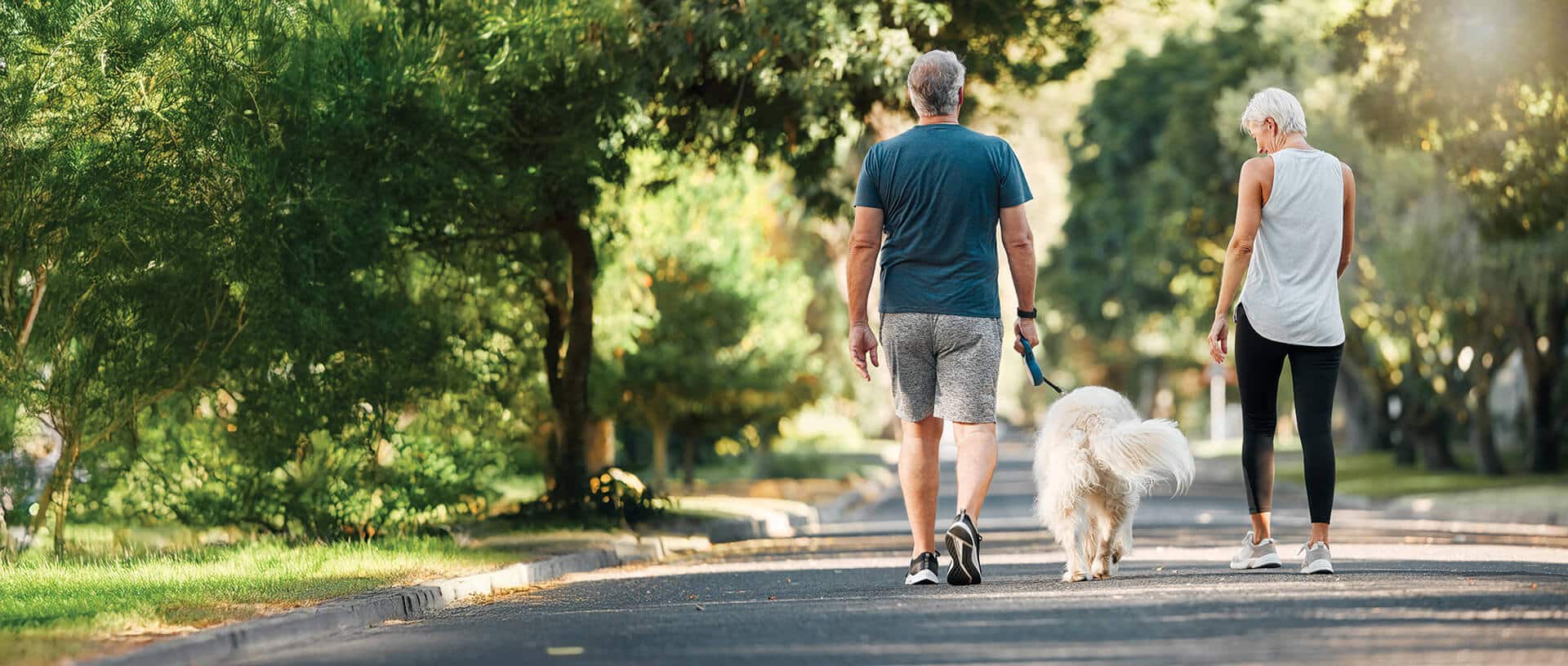 Walking paths and trails in the Center Lake Ranch Community